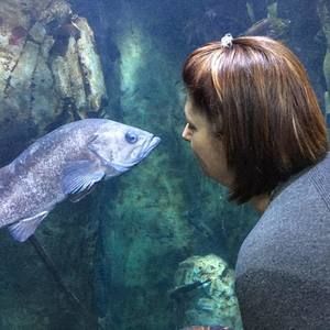 Meet your Posher, Tristin